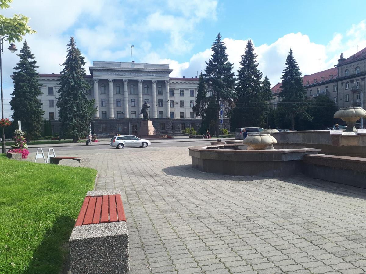 Двокімнатні Апартаменти У Центрі ルーツィク エクステリア 写真